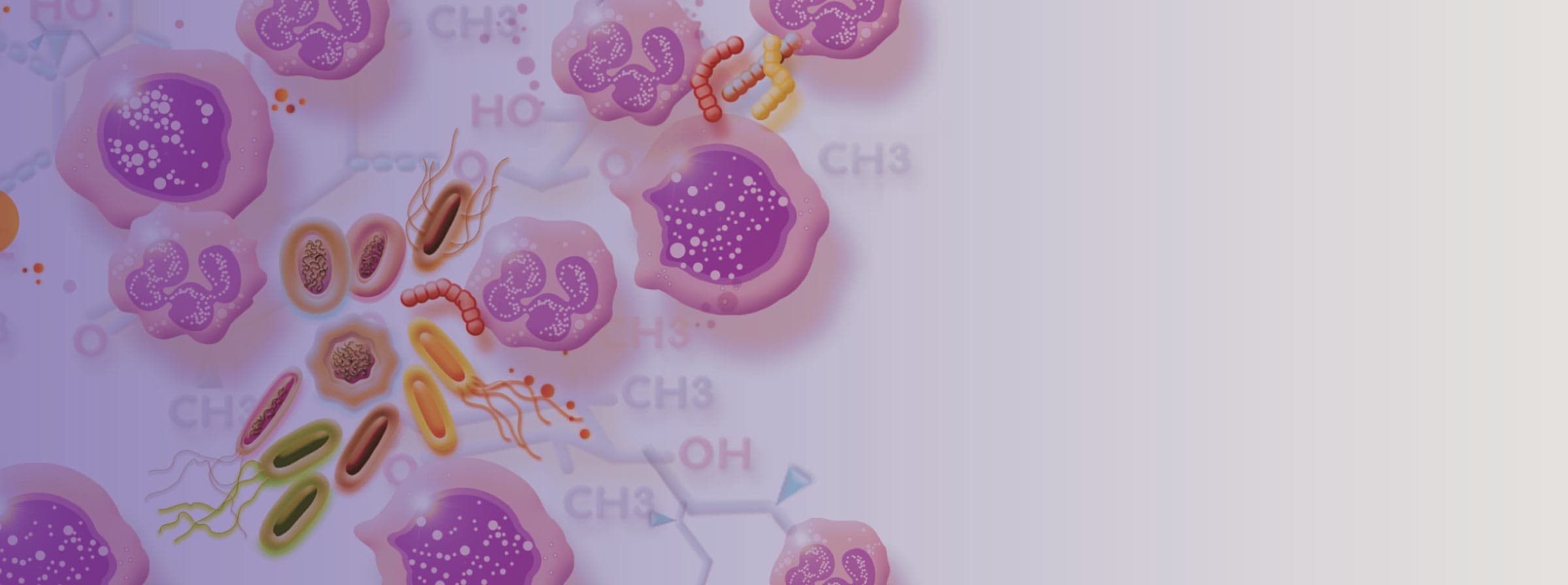 Pneumoflox