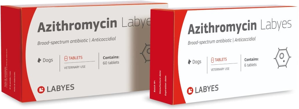 Azithromycin packaging