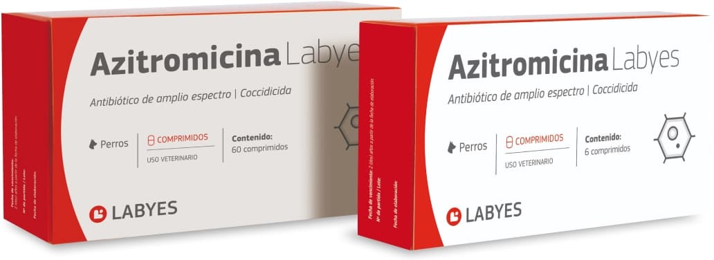 Envase de Azitromicina