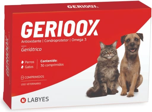 Envase de Gerioox