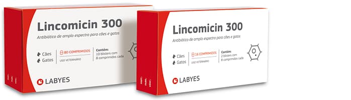 Envase de Lincomicin 300