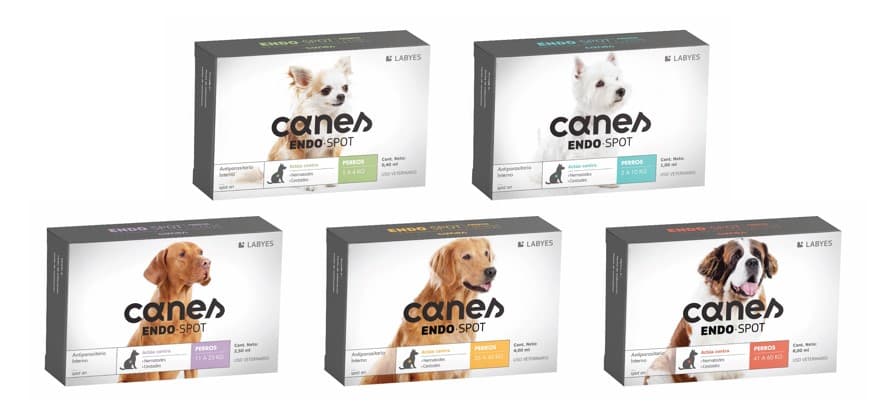 Envase de Canes Endospot