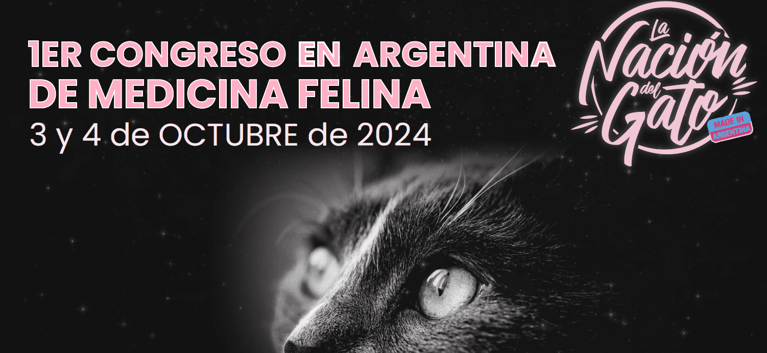 Evento Nación del Gato - Labyes