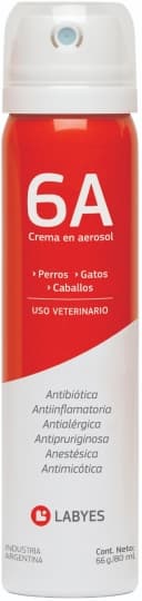 Envase de Aerosol 6A
