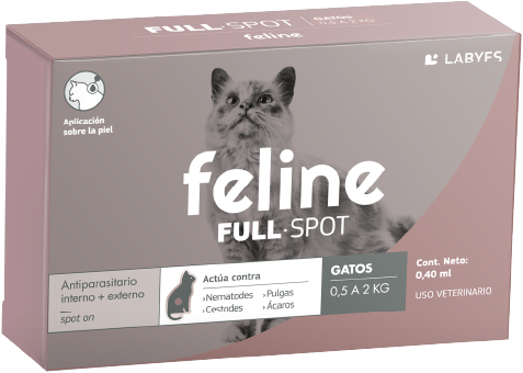 Feline Fullspot
