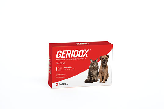 Pack - Gerioox